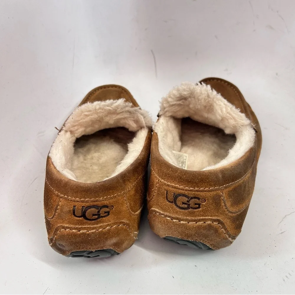 UGG men’s ascot